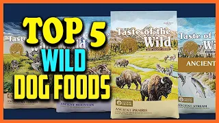 ✅Top 5 Best Wild Dog Food Reviews 2022