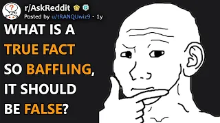 What Is A True Fact So Baffling, It Should Be False? (r/AskReddit)