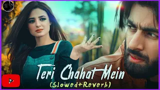 Inn Aankhon Ko Rihaayi De | Teri Chahat Mein (slowed+Reverb) | Hukam Ali