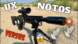Terminador Umarex Notos VS Feral Pigeons Predator GTO Alloy Pellets 840 FPS PCP Air Rifle