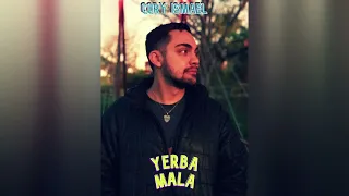 Rodrigo - Yerba Mala (Como olvidarla) | Cover By "Cory Ismael" (Pseudo Video)