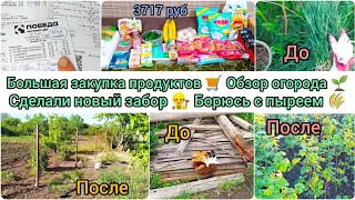 🛒Большая закупка продуктов🌱Обзор огорода 👷 Сделали новый забор🌾 Борюсь с пыреем #буднимамы #закупка