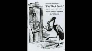 "The Black Stork"