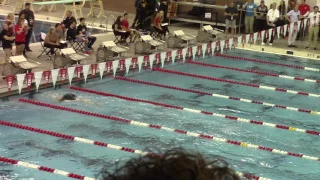 Katie Ledecky 1650 American Record 11 20 16