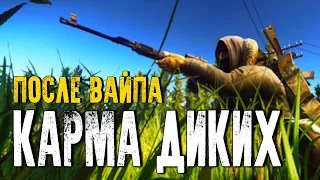 Карма Дикого после ВАЙПА - какая польза?