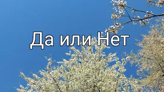 Да или Нет. Краткий ответ на заданный Вами вопрос.👈🥰👉