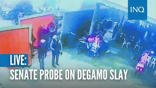 Senate hearing on Degamo slay