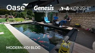 Modern Koi Blog #5323 - Matthias 9 Jahre alter und 20.000 Liter großer Koiteich