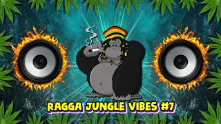 Ragga Jungle Drum & Bass Vibes #7 (Reggae DnB Mix)