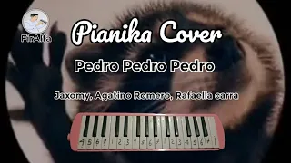 Not Pianika Pedro Pedro Pedro - Jaxomy, Agatino Romero, Rafaella Carra | Viral Tiktok 2024