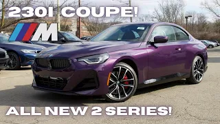 Walk Around and Overview: 2023 BMW 230i xDrive Coupe! (In Thundernight Metallic!)