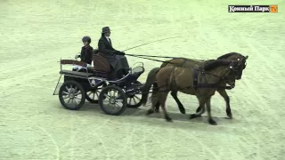 Определены победители и призёры Зимнего Чемпионата НКП "Русь" по драйвингу, 3 этап