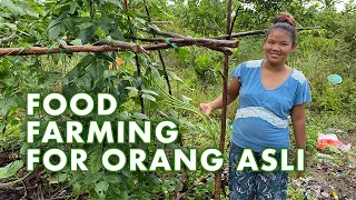 Food Farming For Orang Asli