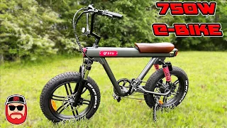 DYU V8 E Bike