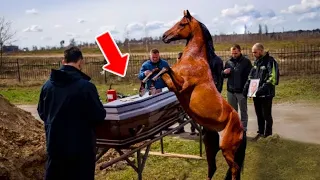 The Horse Began to Step on The Coffin, When The Lid Broke, Everyone Heard Someone Was Crying...