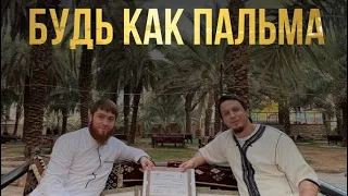 Посади ПАЛЬМУ в городе Посланника Аллаха (ﷺ) и ПОЛУЧАЙ НАГРАДУ до Судно Дня!