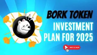 Bork Token: Investment Plan for 2025. Must watch! #crypto