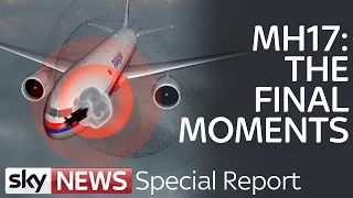 MH17 Crash: What Really Happened To Malaysia Airlines Flight? | Special Report