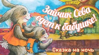 🐰Зайчик Сева едет к бабушке! Аудиосказки для детей/Сказки для малышей