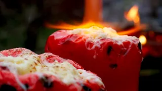 CHARCOAL-BAKED STUFFED PEPPERS | ASMR BUSHCRAFT COOKING by AlligatorKitchen