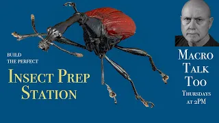 Insect Prep Station - Macro Talk Too #82 - Feb 15, 2024