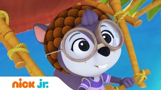 ОТВАЖНЫЕ ПТЕНЦЫ | Унесённая ветром белка Ширли | Nick Jr. Россия