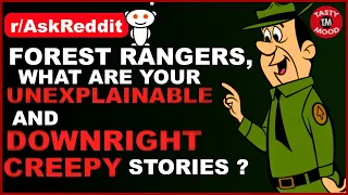 Forest rangers, what are your unexplainable and downright creepy stories(r/AskReddit Reddit Stories)