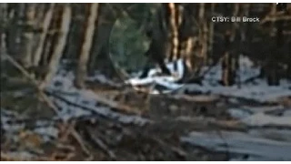 Bigfoot Caught On Video In Maine, Very Interesting Footage