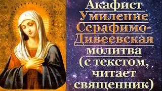 Акафист Умиление Серафимо Дивеевская, с текстом, слушать, читает священник, молитва