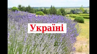 Пісня "УКРАЇНІ"