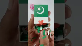 Happy independence day Pakistan || 14 August independence day craft #shorts