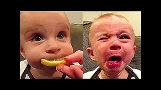 You will LAUGH SO HARD that YOU WILL FAINT - FUNNY BABIES Compilation