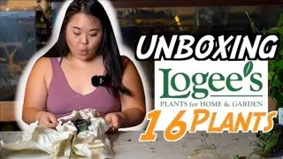 Logee's Greenhouse Plant Nursery Unboxing: My First Experience and Impression