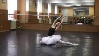 DYING SWAN for beginners