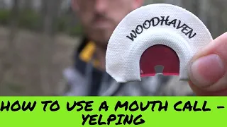 How to use a MOUTH TURKEY CALL - THE YELP