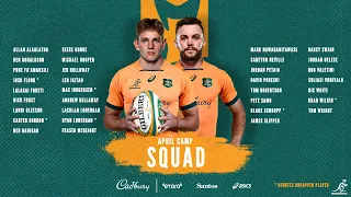 Wallabies Squad Breakdown - April 2023