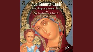 Alma Redemptoris Mater II