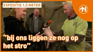 Varkensboer doet het nog op de oude manier | RTV Noord