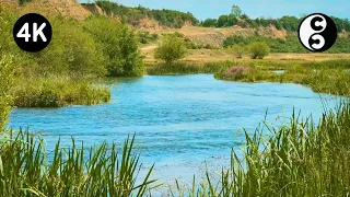 Calm Summer Afternoon Ambience: Gentle River and Bird Sounds