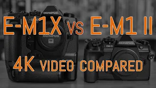 Olympus OM-D E-M1X vs E-M1 II - 4K Video Comparison (with commentary)