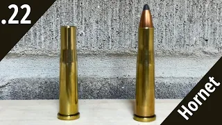 How to Reload .22 Hornet For Beginners