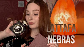 Обзор LATTAFA NEBRAS | Клон аромата Eilish Billie Eilish | Арабская парфюмерия 🔥