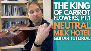 The King of Carrot Flowers, Pt 1 Guitar Tutorial - Neutral Milk Hotel - Guitar Lessons with Stuart!