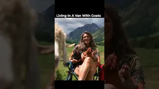 Van life with a twist 🐐 #goat #vanlife #chickens #dogs