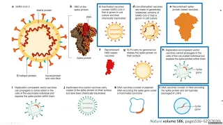 CLL Support Webinar on the Covid-19 vaccine