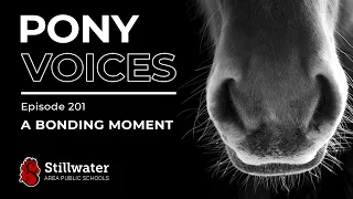 Pony Voices - Episode 201: A Bonding Moment