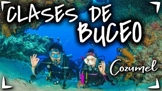 DIVING in MEXICO  ✅ The best DIVING school in COZUMEL ► PADI Diving COURSE 🔴 OPEN WATER DIVER CANCUN