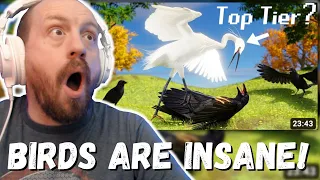 BIRDS ARE INSANE! TierZoo The Bird Tier List (REACTION!)