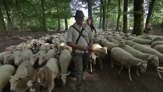 BuitenGewoon 22 augustus 2020 - De Veluwe