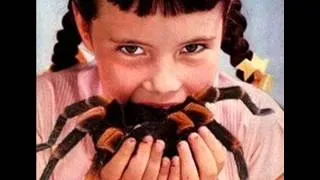 Itsy Bitsy Spider - Eight Legged Freaks